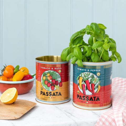 Passata storage tins with a basil plant