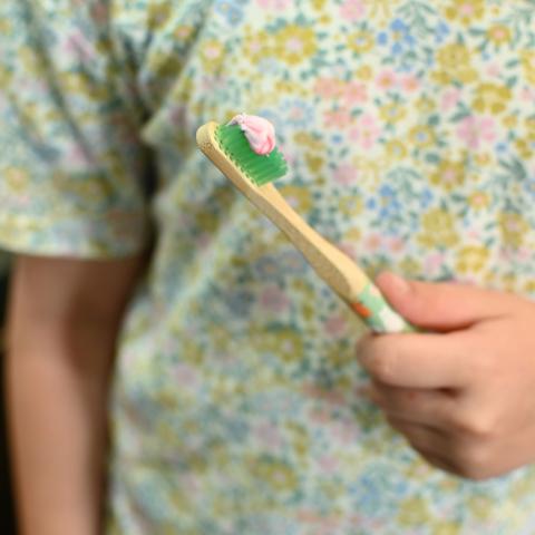 A child's hand hold a toothbrush with green bristles