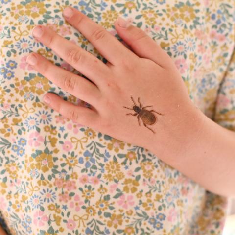 A child's hand with a beetle tattoo on