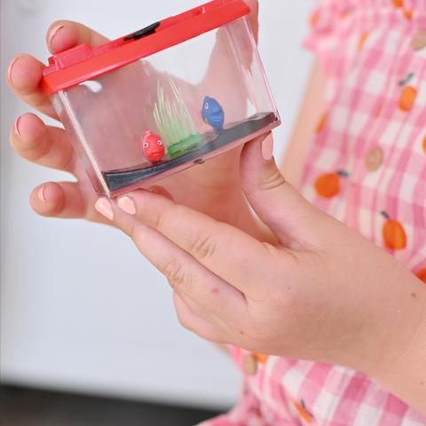A child's hand hold a small toy aquarium with two fish