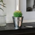 Cactus Candle In Tin