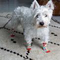 Medium Mid Century Poppy Dog Socks