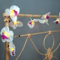Orchid Garland Led Battery Lights