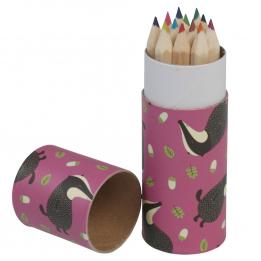 Set Of 12 Colouring Pencils Mr Badger Design