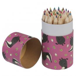 Set Of 36 Mr Badger Design Colouring Pencils