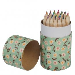 Set Of 36 Daisy Design Colouring Pencils