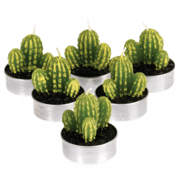 Cactus Tea Lights (set Of 6)
